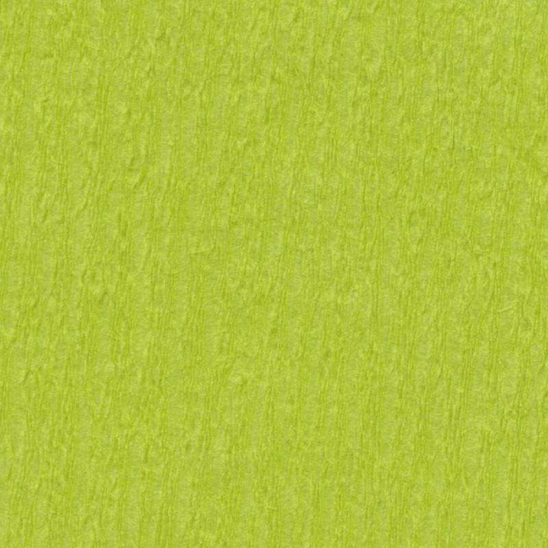 Crepe Paper 50x250cm Pack of 10 w/ Fold - Light Green image
