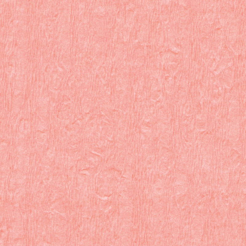 Crepe Paper 50x250cm Pack of 10 w/ Fold - Peach image