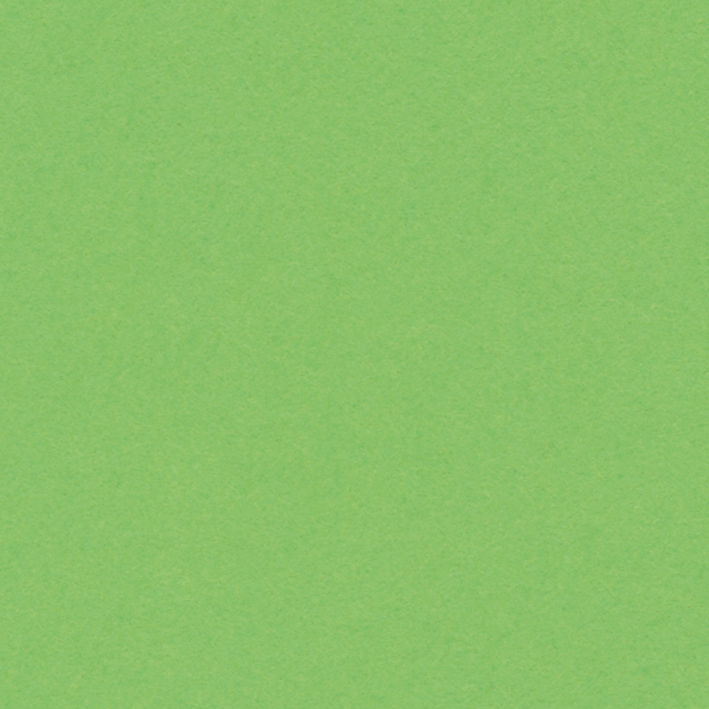 English Cardboard 50x65cm 1 Sheet - 160 g - Light Green image