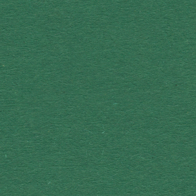 English Cardboard 50x65cm 1 Sheet - 280 g - Dark Green image