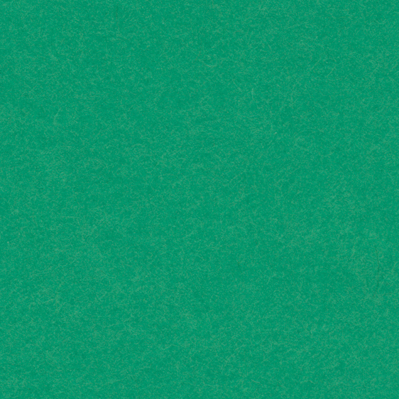 English Cardboard 50x65cm 1 Sheet - 280 g - Green image