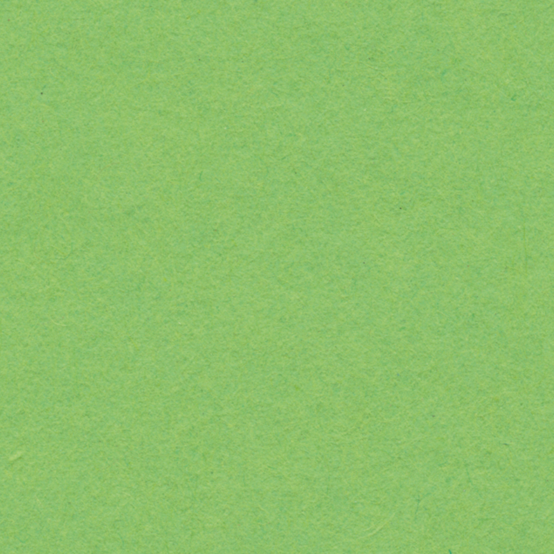 English Cardboard 50x65cm 1 Sheet - 280 g - Light Green image