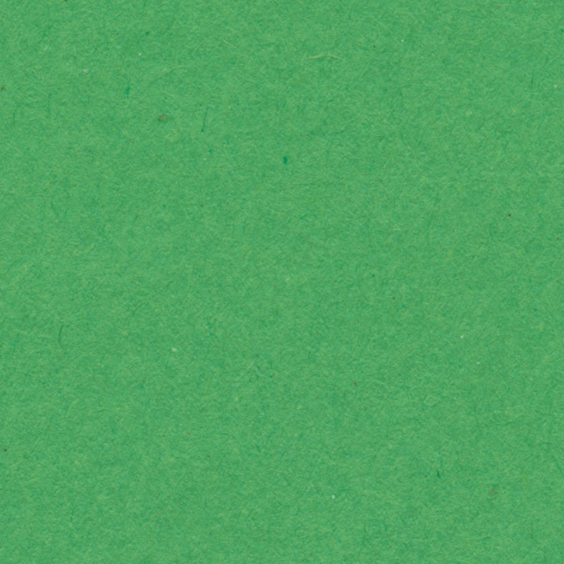 English Cardboard 50x65cm 1 Sheet - 280 g - Apple Green image