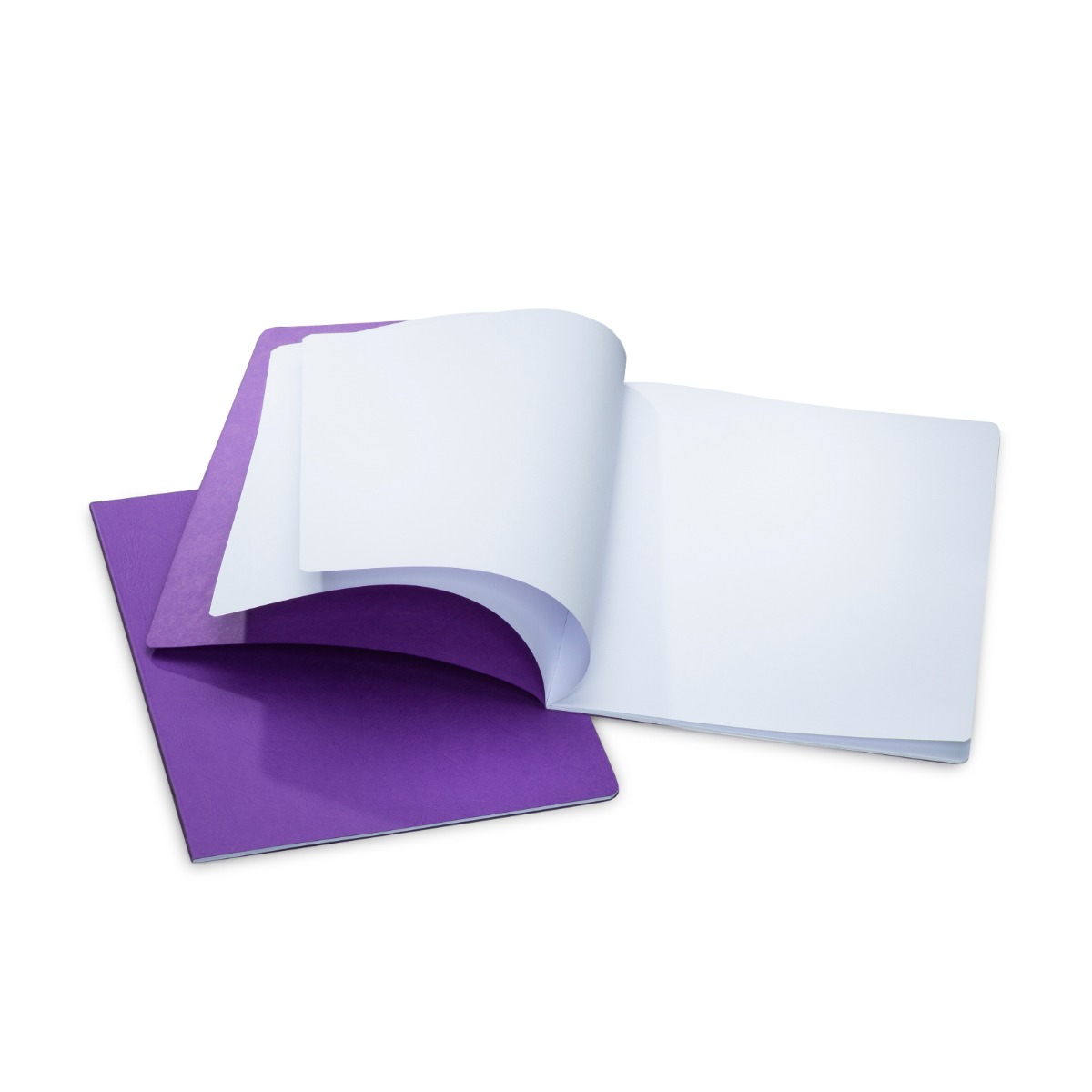 MLB 32x24cm Portrait Format Pack of 10 - Purple image