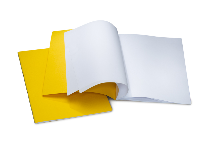 MLB 32x48cm Portrait Format w/ Onion Skin Pack of 10 - Yellow image