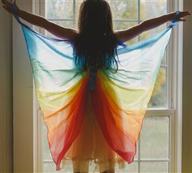 Sarah's Silks Silk Wings - Dragonfly image