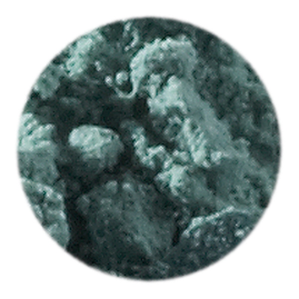 Artemis Plant Pigment Powder 50 ml - Leaf Green image