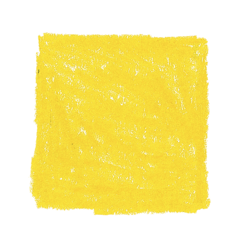 AMS colour Giants Box of 12 - Gold Yellow image