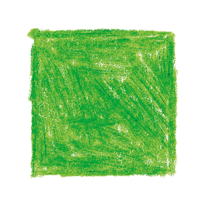 AMS colour Giants Box of 12 - Yellow Green image