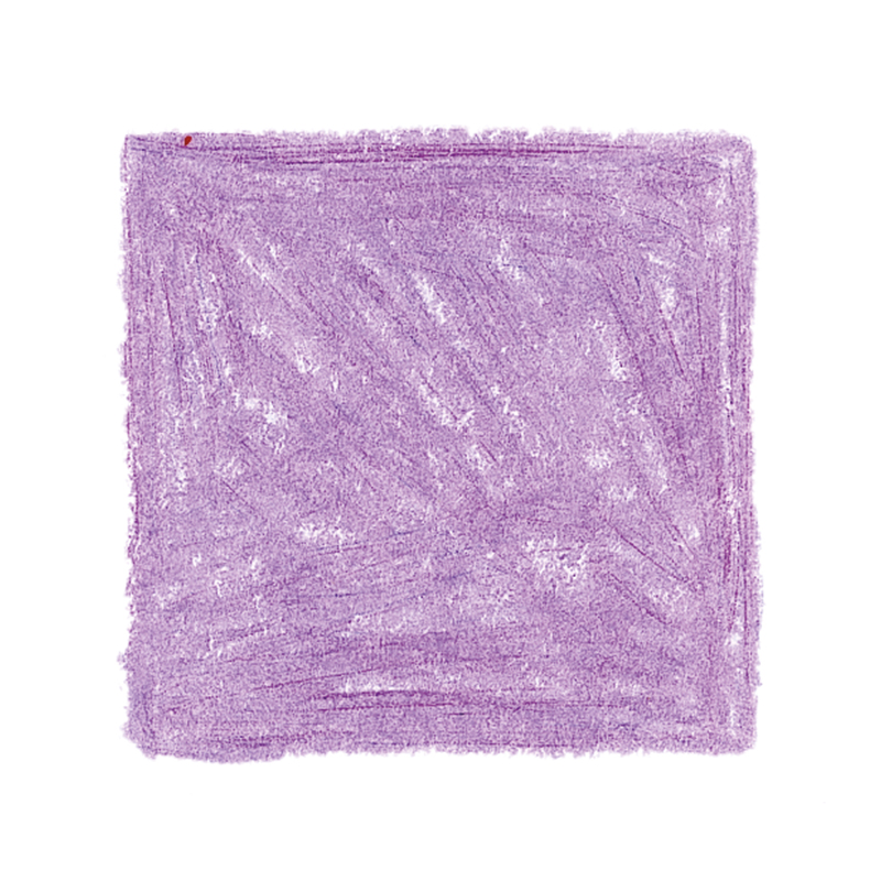 AMS colour Giants Box of 12 - Lilac image