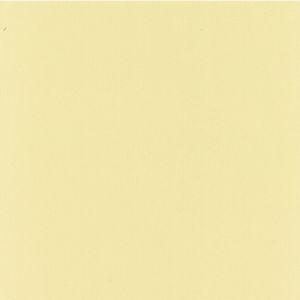 Stockmar Modelling Beeswax Box of 15 Sheets - Ivory
